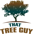 that tree guy logo